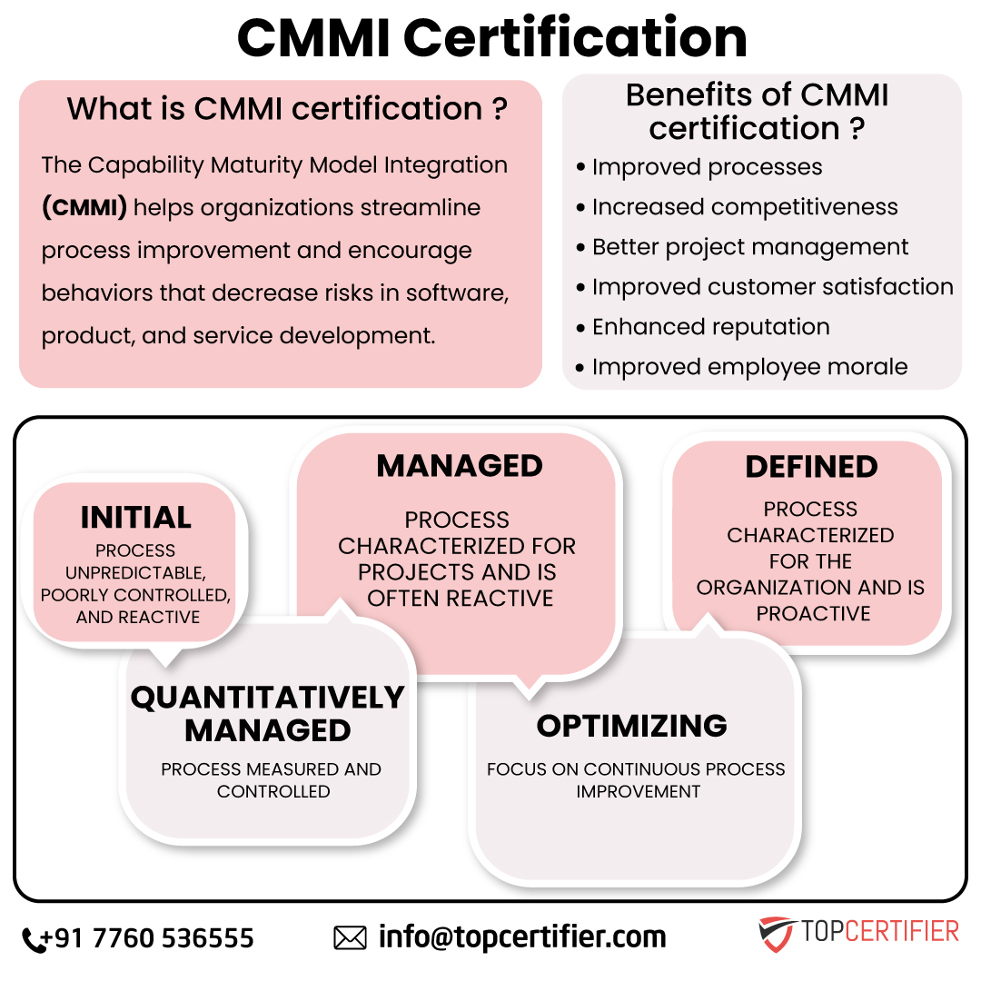 CMMI in Denmark